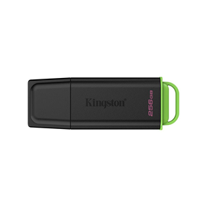 KINGSTON DTXG2/256GB USB 3.2 DataTraveler Exodia Gen 1 Flash Bellek (Siyah-Yeşil)