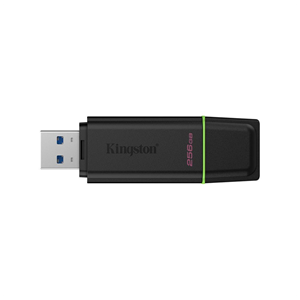 KINGSTON DTXG2/256GB USB 3.2 DataTraveler Exodia Gen 1 Flash Bellek (Siyah-Yeşil)
