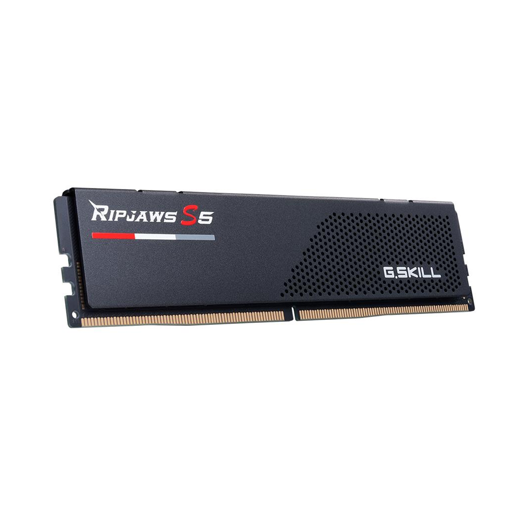 GSKILL F55200J4040A24GX1-RS5K, 24GB, DDR5, 5200MHz CL40, 1.1V, XMP 3.0, Desktop Ram