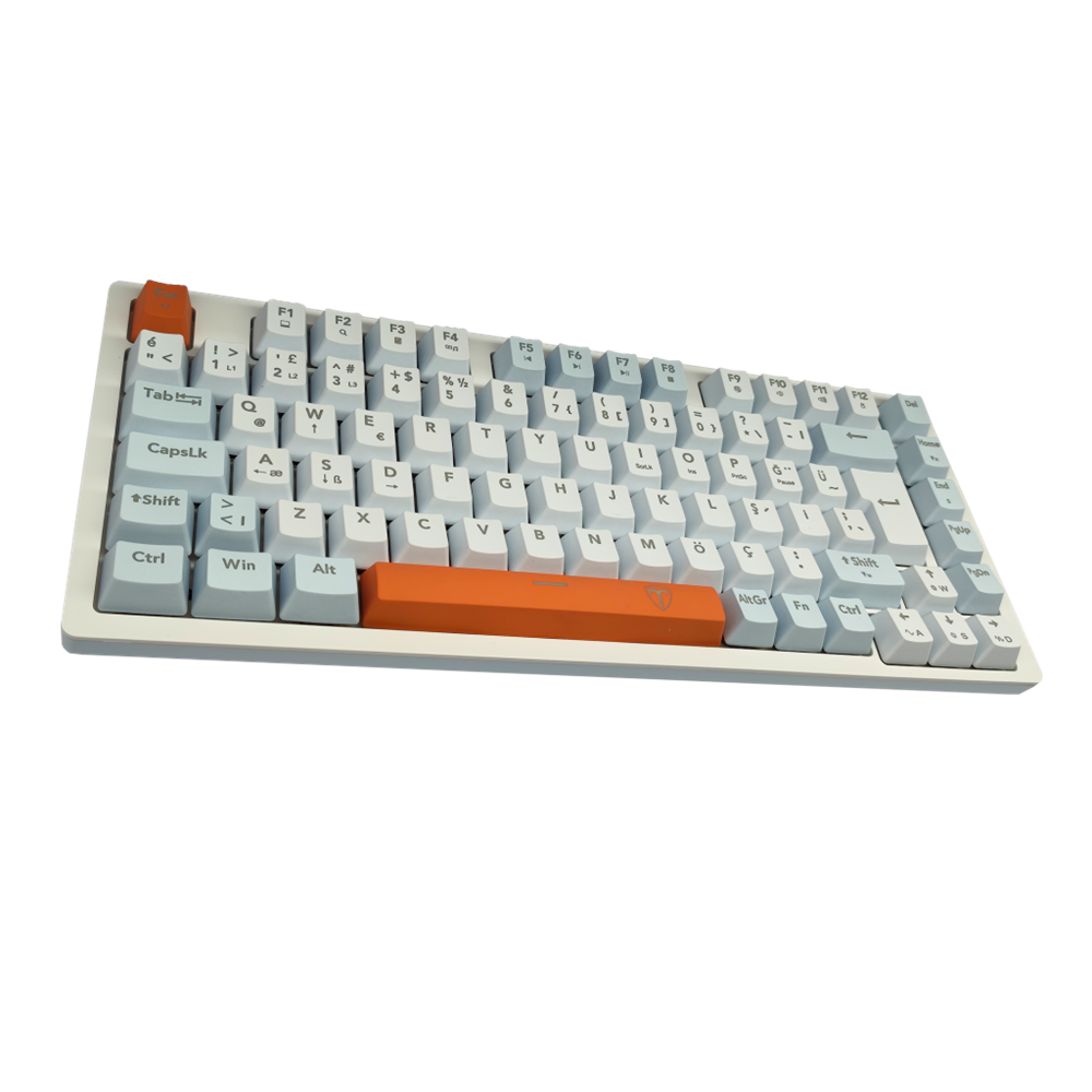 T-DAGGER T-TGK326WBO, MEGATRE, USB Kablolu, Türkçe Q, Rainbow Backlight, Red Mekanik Switch, 82 Tuşlu, Gaming Klavye